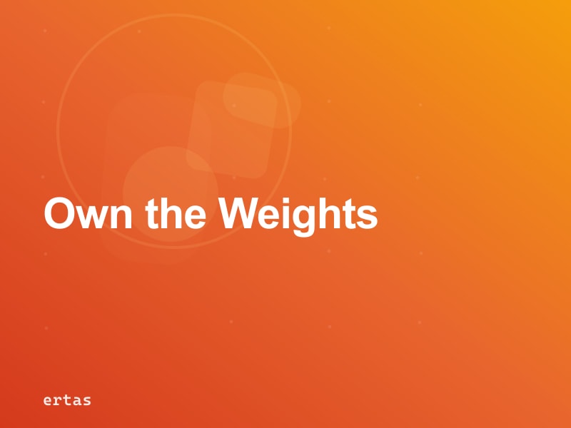 What AI Model Ownership Actually Means (and Why It Matters More Than the API Price)