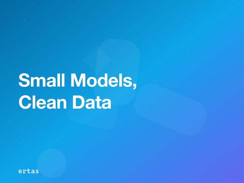 Data Preparation for Small Language Models: Quality Over Quantity