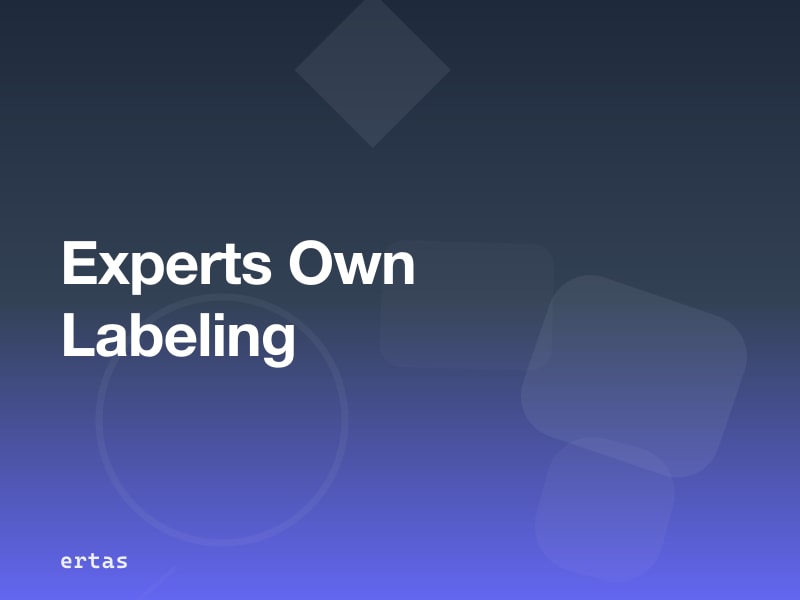 Why Domain Experts — Not ML Engineers — Should Own Data Labeling