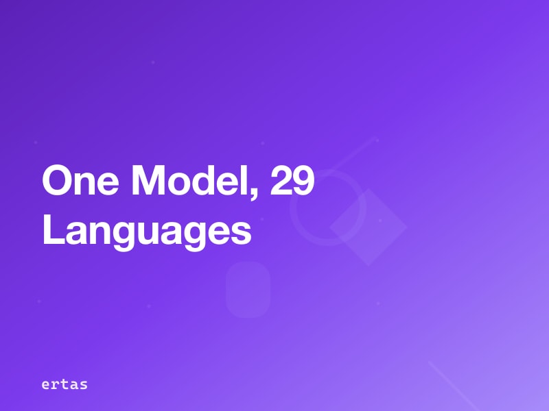 Fine-Tuning Qwen 2.5 for Multilingual Applications