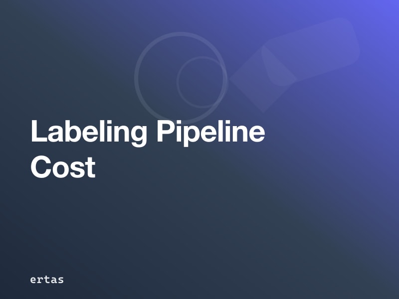 How Much Does an In-House Data Labeling Pipeline Actually Cost?