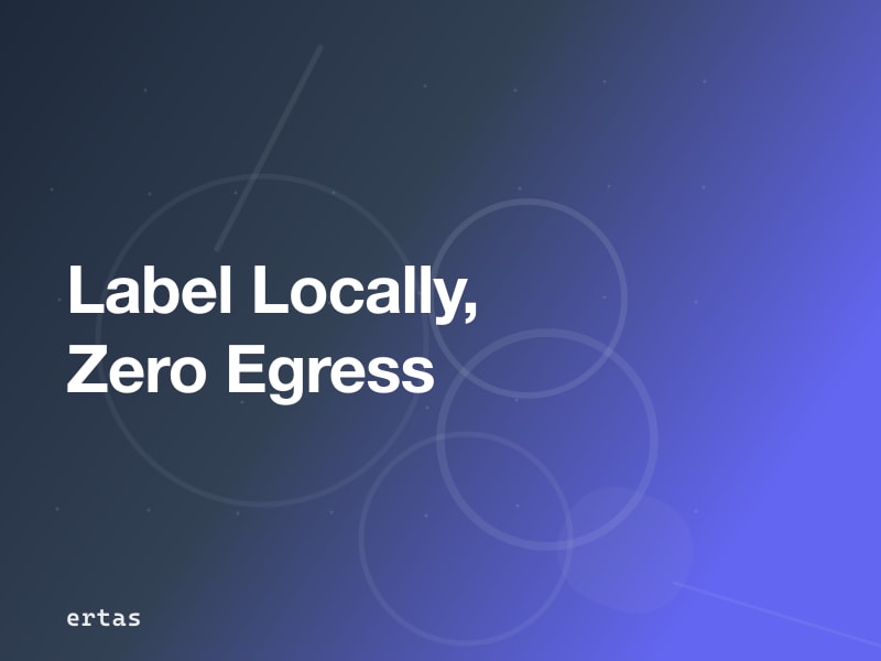 Local LLM-Assisted Data Labeling Without Data Egress