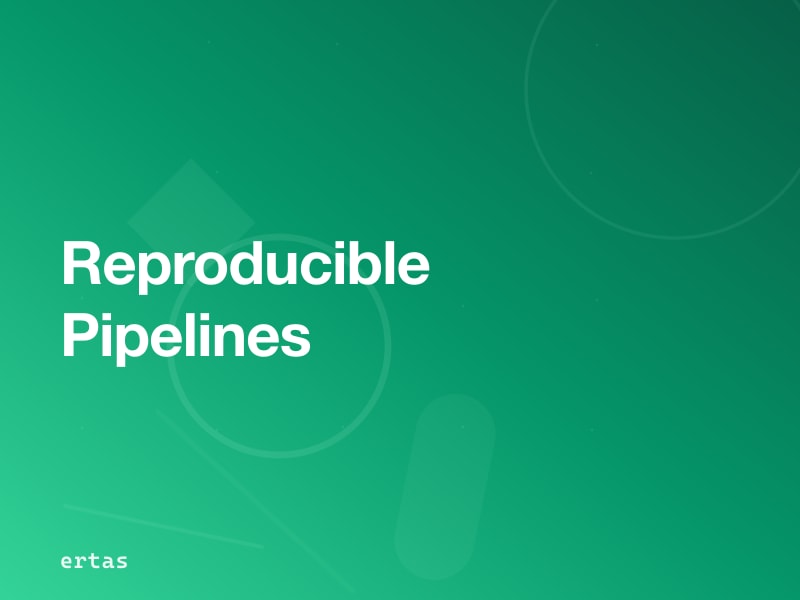 Reproducible Data Pipelines: Making Your ML Data Prep Portable Across Client Deployments