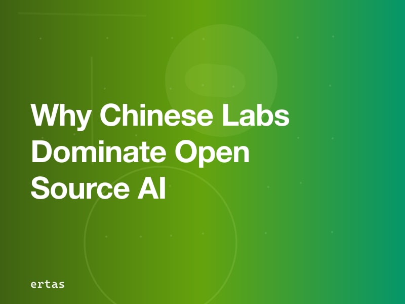 Why Chinese Labs Now Dominate Open-Source AI